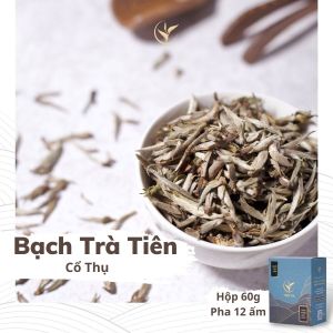 Bạch Trà Tiên Vụ Xuân Trà Cổ Thụ Thiện Tài Búp Trà Cổ Thụ Hà Giang Hộp 60gram Hảo Hạng Biếu Tặng