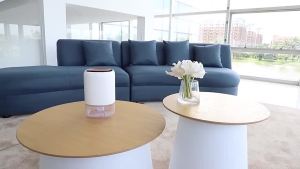 ผลิตภัณฑ์แท้ 100% เครื่องลดความชื้น Hysure Q4 Plus ความจุขนาดใหญ่ 1.4 ลิตร เครื่องฟอกอากาศ เครื่องลดความชื้นขนาดเล็ก เครื่องลดความชื้นในครัวเรือน