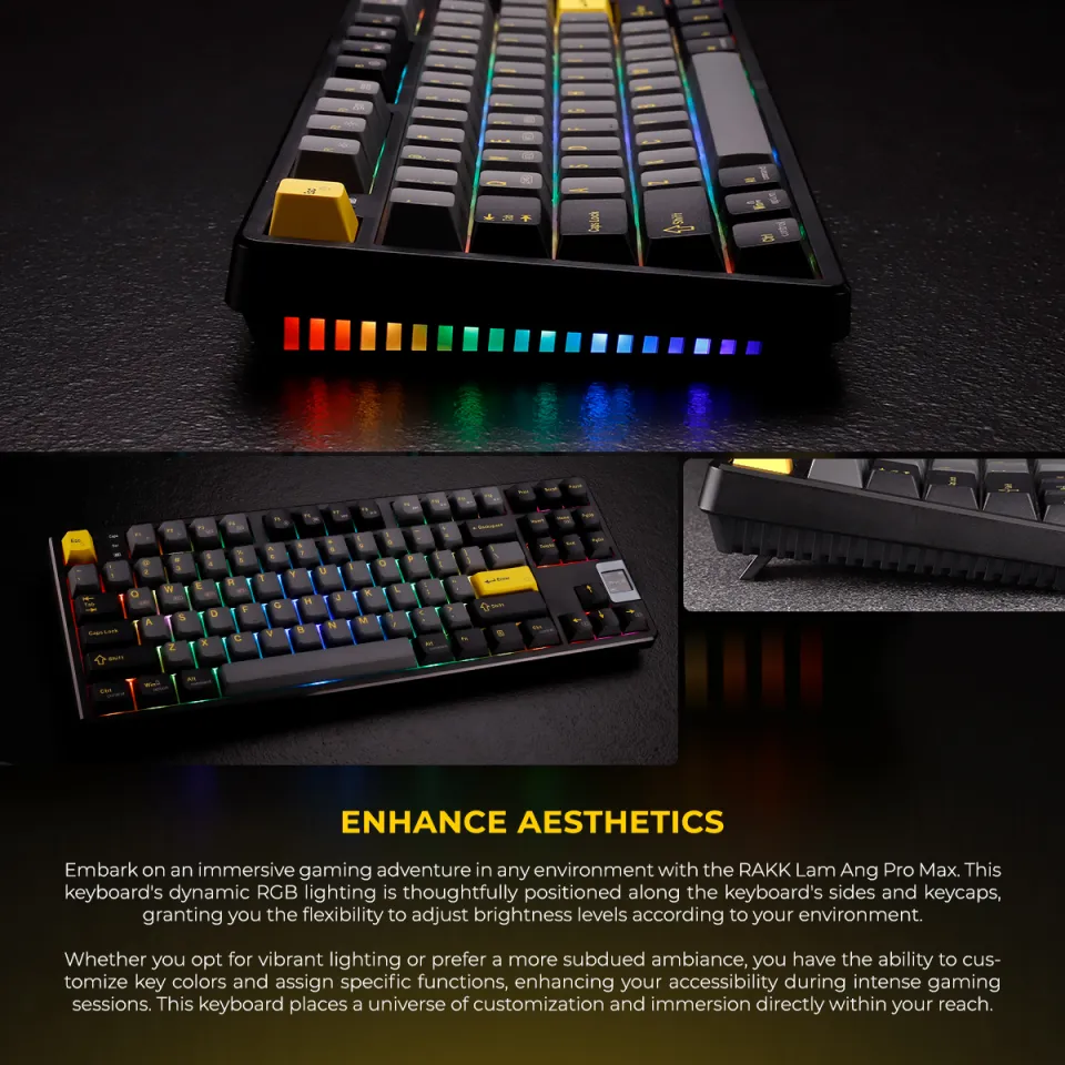 EasyPC | RAKK LAM-ANG PRO MAX Fully Keyboard / Barebone Trimode 87