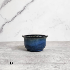 The Leaferie Petit Bonsai Pot (Series 21) . Plant pot . Ceramic . Flowerpot . Planter . small pots