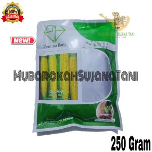 Benih Jagung Manis GULAKU 250gram Pemata Bani 1750 biji