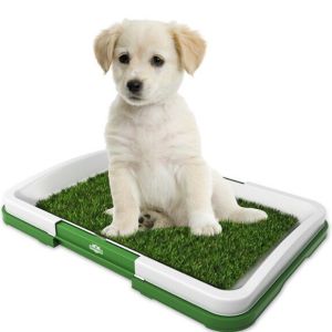 SKY E-COMMERCE CO.Ltd COD Puppy Training Potty Pad Pet Indoor Toilet Dog Toys