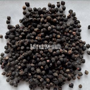 BUAH ANGKUNG KERING OBAT STROKE & DARAH TINGGI 500 BIJI + BONUS 25 BIJI