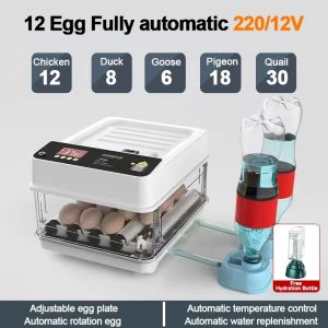 130 Eggs Automatic Incubator 220V/12V Constant adjustable egg tray Temperature Incubator Automatic Temperature Control/Water Replenishment/Egg Turning Digital Dual Power Supply Adjustable Egg Tray Incubator