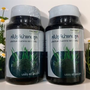 สไปรูลินา แคปซูล Puree Herb ภูรีเฮิร์บ โปร 2 ขวด 1 กระปุก 60 แคปซูล ขับถ่าย ขับร้อน ช่วยผ่อนคลาย ภูรี เฮิร์บ Spirulina