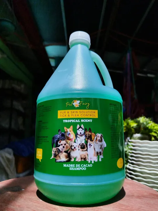 PET FAIRY PREMIUM MADRE DE CACAO DOG SHAMPOO FUR SKIN SOLUTION TIC FLEA CONTROL Lazada Lazada PH