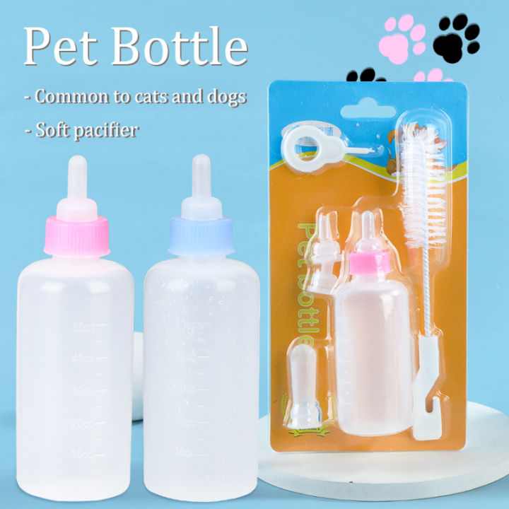 Get Pregnant Nursing Cats When Kittens Stop Nursing Pet Nursing