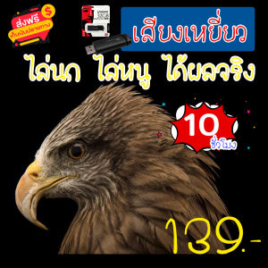 เสียงเหยี่ยว เมม แฟลชไดร์ฟเสียงเหยี่ยว สำหรับไล่นกไล่หนูในบ้านในนา ความยาว 10 ชม.เสียงดัง ได้ผล100%