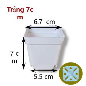 10 cây Chậu nhựa vuông cứng đen trắng mini chậu hoa nhỏ trồng sen đá và xương rồng bé nhỏ Cindyhome Y