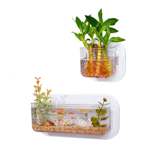 Pet Friendly Wall Hanging Aquariums with Hydroponic Plant Gardening Container for Hydroponic Plant Indoor Decoration