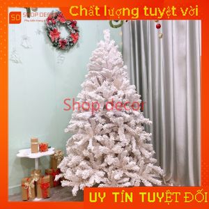 Cây thông noel 2.1M lá màu trắng phủ tuyết trắng hàng việt nam tán dày rộng nhiều nhánh trang trí giáng sinh noel