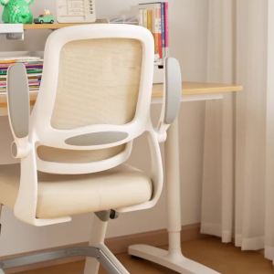 Hot Sale， Study chair for teenagers middle school students ergonomic writing desk chair