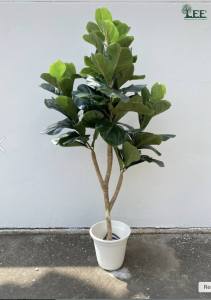 ต้นไทรใบสัก 3 หัว มีขนาด 1.2 เมตร และ ต้นไทรใบสัก 4 หัว 1.5 มตร / ต้นไม้ปลอมตกแต่งบ้าน Leeartplants