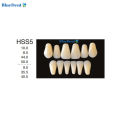 4 Vĩ Răng Giả Nhựa Composite Màu A2 Đủ Bộ 28 Răng Dùng Để Học Mài, Đính Đá, Tháo Lắp Labo Nha Khoa. 