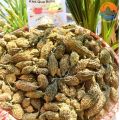 Khổ qua rừng (Mướp đắng rừng) sấy khô nguyên trái. Thảo dược thiên nhiên thu hái từ rừng tự nhiên ổn định đường huyết. 