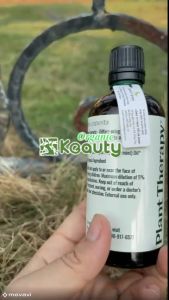 Tinh dầu bạc hà hữu cơ Plant Therapy 100ml - được sử dụng trong nhiều thế kỷ. Cây của nó mọc sát mặt đất mặt lá trơn nhẵn màu xanh đậm hoa nở thành cụm nhỏ màu hồng nhạt giống lavender.
