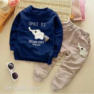 Baju anak laki-laki keren 1-6 tahun setelan anak cowok terbaru motif gajah bahan babyterry