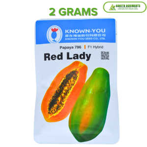 KNOWN YOU SEEDS RED LADY VARIETY PAPAYA SEEDS 2grams (120++ seeds) 5 grams 10 grams
