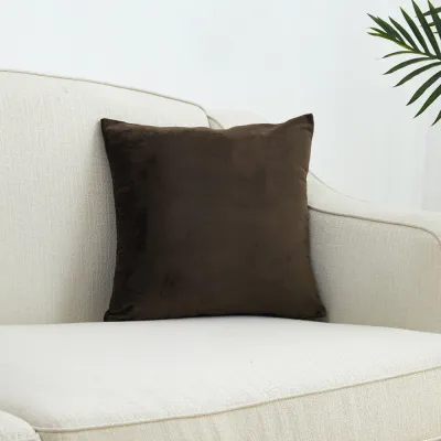 Superfine Velvet Cushion Cover 50x50/60x60/50x70cm Solid Nordic Throw Pillow Case Big Size Decorative Pillow Cover for Bed Sofa Chair Living Room Bedroom Home Decor