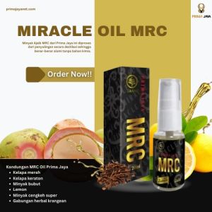 Minyak Urat MRC Oil Untuk Syaraf Kejepit Keseleo Sakit Kepala Sakit Pinggang dan Sakit Punggung