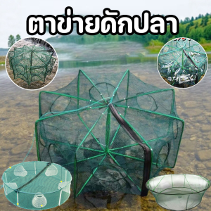 【Leaf-Hu】COD ตาข่ายดักปลา-กุ้ง 4ไซส์ [6/8/10/16ช่อง] พับ3วิ+ระบบทางเข้าเดียว ไนล่อนเกรดเรือทนน้ำเค็ม