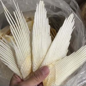 50GR Sụn vây cá nguyên miếng chất lượng dùng để hầm súp ngâm rượu hỗ trợ bồi bổ hoặc làm quà biếu tặng (size 6-18cm)