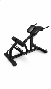 MAIOS Commercial Roman Chair | Heavy-Duty Hyperextension Bench for Core &amp Posterior Chain