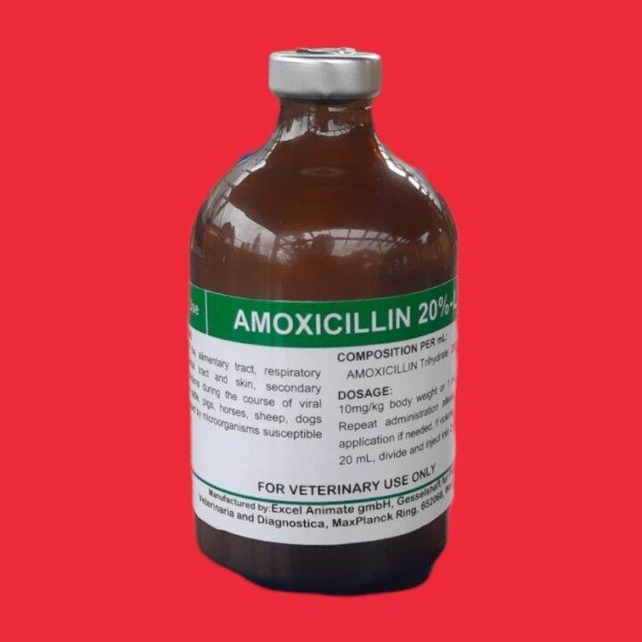 AMOXICILLIN 20 LA Injectable Lazada PH   9ce92b455aa089824455743eff6799c6  720x720q80 