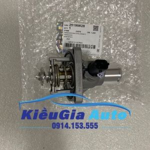 Van hằng nhiệt Daewoo Lacetti CDX/Se 2009-2011 25199828 Chính hãng