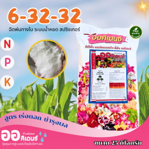 ปุ๋ย 6-32-32 ปุ๋ยเกล็ด ออคิเดนซ์ (เร่งหัว เพิ่มสี เพิ่มขนาด ความหวาน) บรรจุ 25 กิโลกรัม
