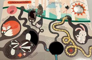 🔥New Arrival🔥SUPERBIG!!! My Very Big Early Learning Book Touch and Feel Book My First 100 Words 超级大地板书 触摸书