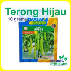 Benih Terong Hijau Lembing 10 gram Tunas Agro Unggul bibit biji sayur hitavi f1 sayuran lalap ijo hydroponik hidroponik
