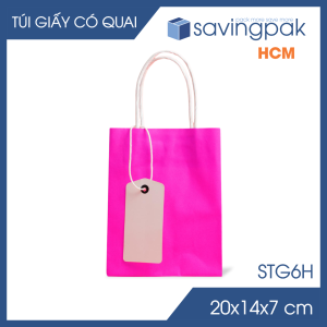 STG6H - 20x14x7 cm - Combo 25 túi giấy có quai giá siêu rẻ màu hồng