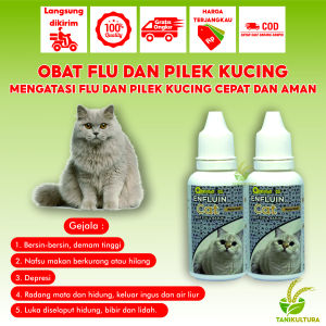 Obat Flu dan Pilek Kucing Terbaik Anti Bersin dan Ingusan Paling Ampuh Obat Batuk Dan Flu Berat Mata Berair
