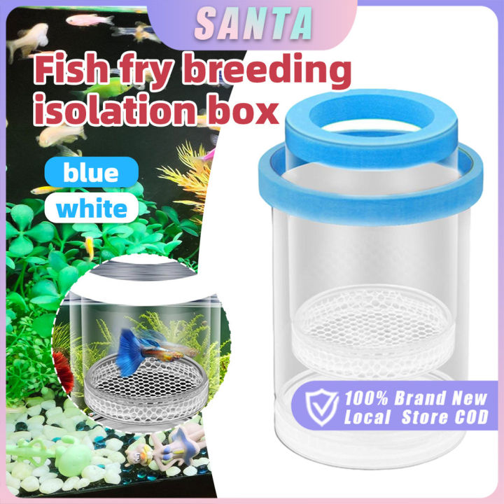 Tank For Rearing Fish Floating Fish Fry Rearing Tank Transparent Plastic Mesh Isolation Tank ...