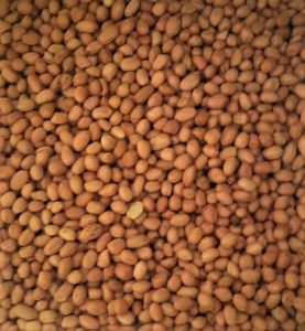 Sathva Raw Groundnut Large nuts suitable for cooking and can be made as snacks