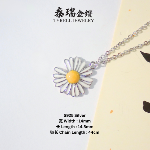 Tyrell Imported S925 Silver Necklace 1 | 进口S925银项链