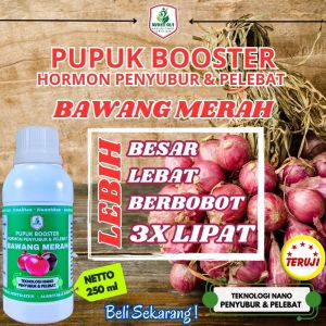 Pupuk Booster Bawang Merah Plus Anti Hama Obat Bawang Merah Pembesar Umbi Pupuk Pelebat Daun Bawang