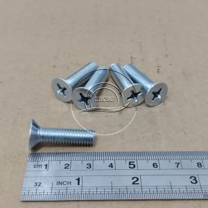 10 PCS BAUT JF M8 X 30 FLAT HEAD SEKRUP M8X30 PANJANG 3CM 3 CM BAUD 8 8X30 8 X 30 MM 30MM OBENG PLUS SKRUP PUTIH GALVANIZ GALVANIS GALPANIS PITCH DRAT 1.25
