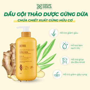 Combo Gội + Xả Thảo Dược Dừa Cỏ Cây Hoa Lá Chai 650gram
