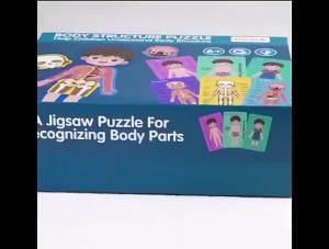 JLT Body Structure Puzzle