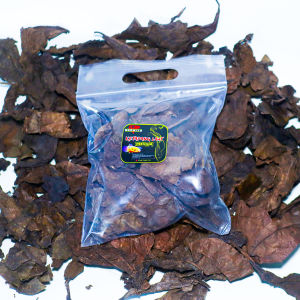 BERRITZ Daun Ketapang Super Pekat Lumer Cocok untuk ikan channacupanglouhanarwanakokikoi dll