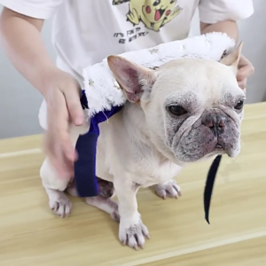 Fashion Pet Outfit Set with Crown Hat Breathable Dog Costume Cosplay Accessory For Festival Event Halloween Supply