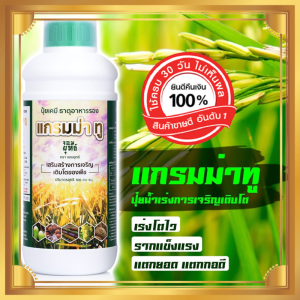 ปุ๋ยแกรม่าทู 1ขวด ขนาด 1 ลิตร ปุ๋ยน้ำเร่งโต ปุ๋ยน้ำแกรมม่าทู ตราจอมยุทธ บำรุงรากบำรุงต้นใบ แตกยอดอ่อน พืชโตไว