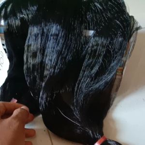Jaring segala burung sarang laba laba Burung kecil besar datat