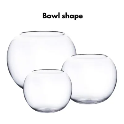 Terrarium Tank OWA High Clarity Glass Bowl