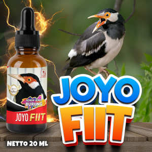 OBAT BURUNG SAKIT | BERAK KAPUR | BERAK HIJAU | MUKA BENGKAK | GANGGUAN PERNAFASAN | NGOROK | ANTI FIIT 20ML