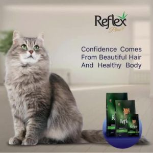 Reflex Plus Repack 1kg Cat Dry Food Kitten Salmon Chicken Makanan Kucing Reflex 猫粮干粮