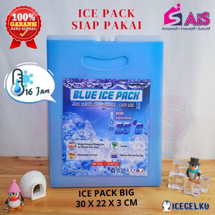 ICEGELKU ICE PACK BIG 30x22cm ICE PACK SIAP PAKAI ICE GEL PACK KOTAK