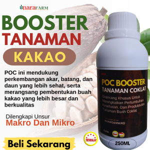 Pupuk pelebat buah kakaoPupuk khusus buah coklatPupuk cair pelebat buah kakaoPupuk buah kakao